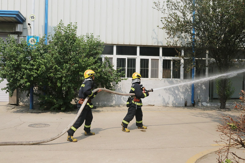 image017.jpg image017.jpg